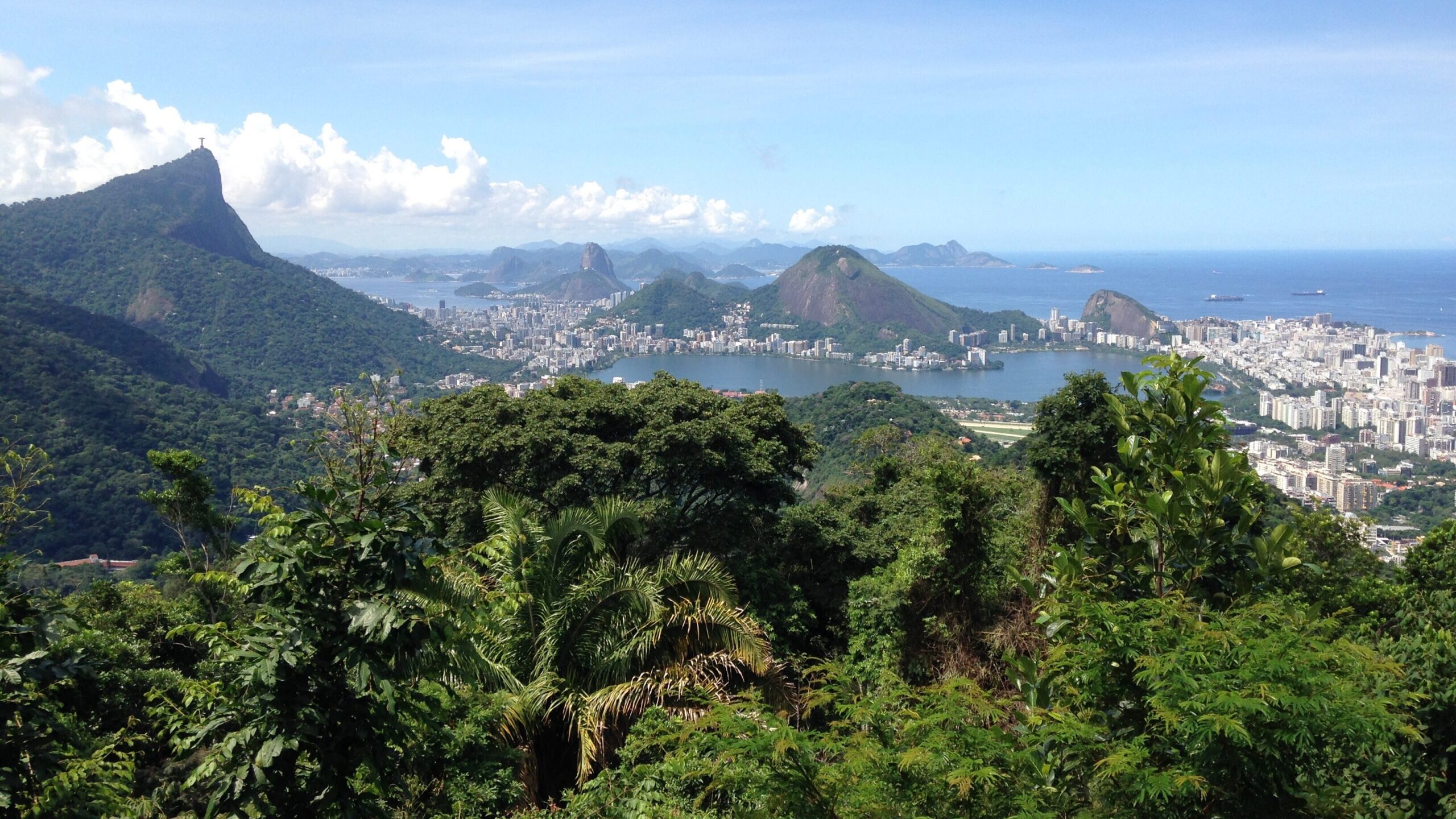 Panoramic view from the Vista Chinesa in Rio de Janeiro, featuring the lush greenery of the Tijuca Forest and the breathtaking backdrop showcases the city below, with landmarks like Sugarloaf Mountain and Christ the Redeemer visible in the distance under a bright, expansive sky.